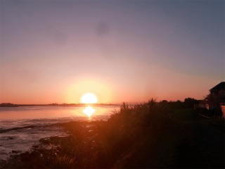 DSC02443