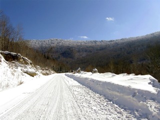 IMG_3233_