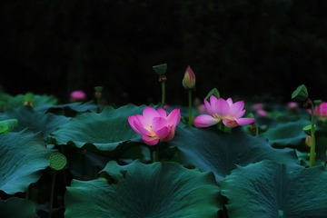 001