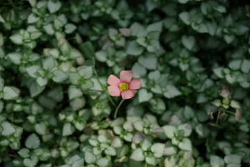 B60F4992-A8E5-4A85-988D-A29B8E888F2A/L0/001