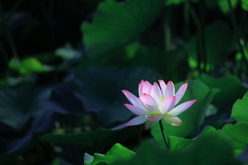 3B0A6168