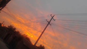 1314541