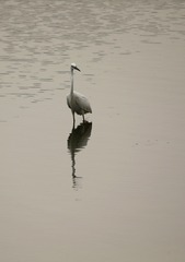 1820091