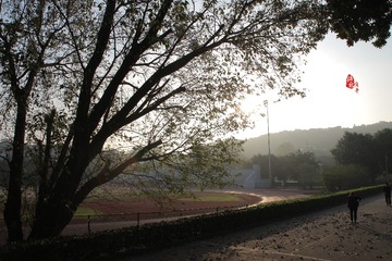 IMG_9302g