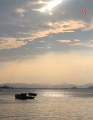 IMG_3 9482g