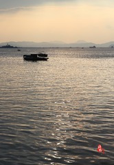 IMG_4 9483g