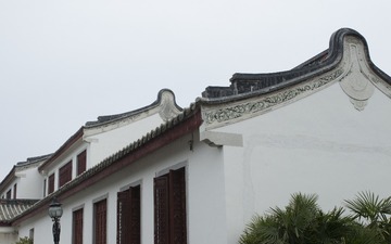 IMG_9765g