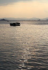 IMG_9483g
