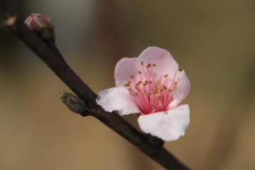 IMG_9916g