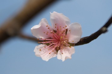IMG_9917g