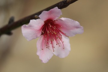 IMG_9920g