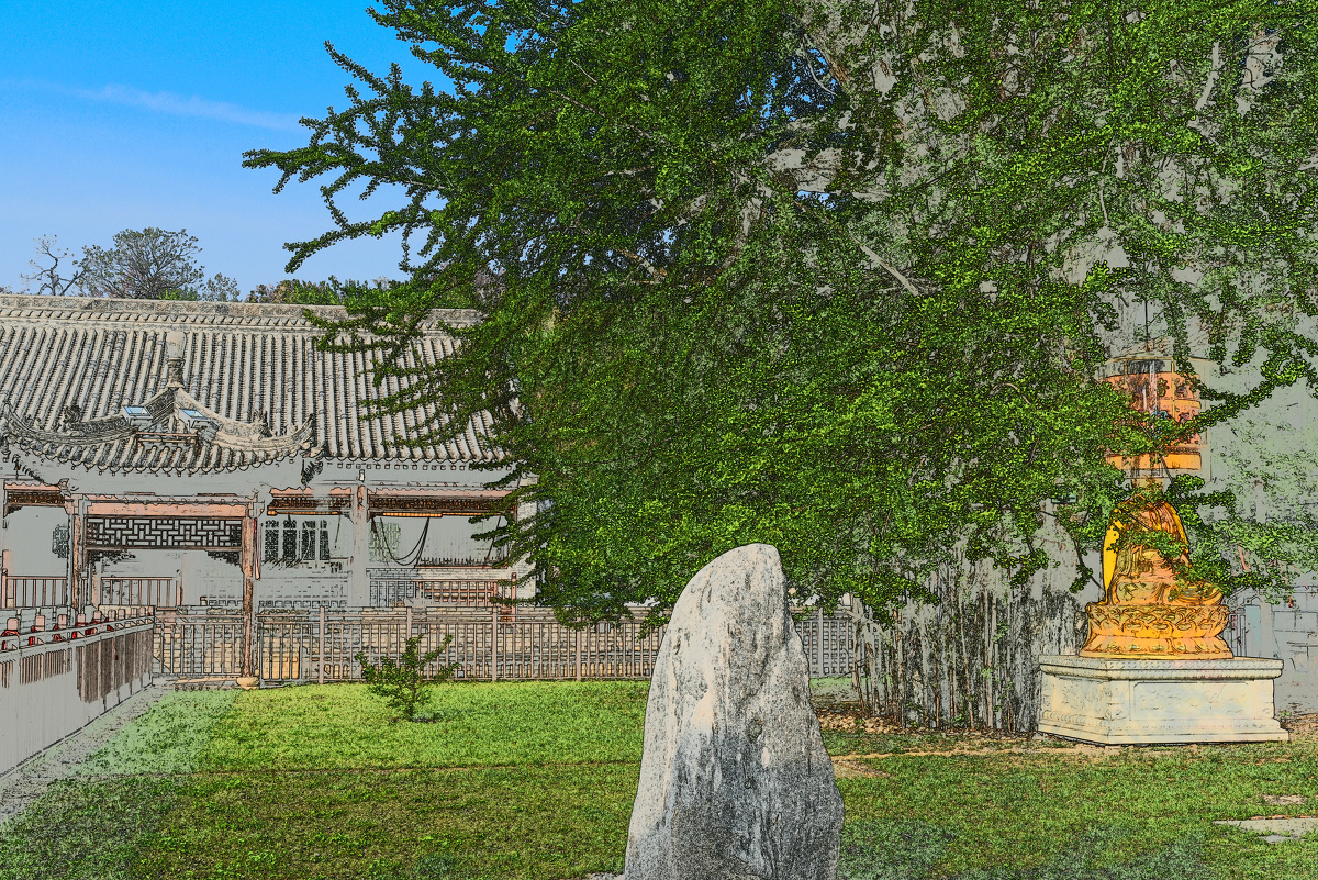 春天是厚积的季节,位于终南山千年古刹古观音禅寺内的千年银杏树绿意