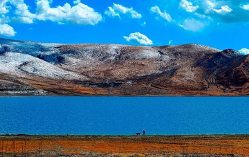 _DSC7416_01
