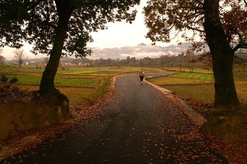 PICT0158纯粹的中国传统韵致的田园美景，朴实而不流俗，使人想起中国文人士大夫们孜孜以求的避世逸境。这种心理上的引导对于当代中国当今越来越多的都市人来讲所具有的普遍性使得图片具有时代意义。这般美景却也只是惠顾那些欣赏的目光和心灵。__