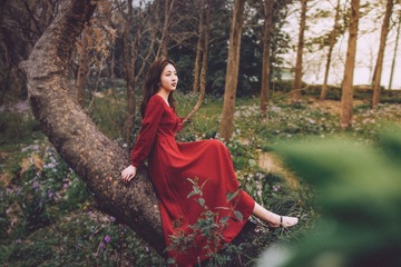 拥抱森林1 (16)