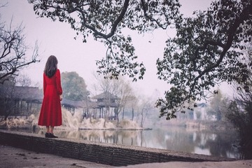 拥抱森林1 (20)