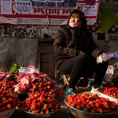 _DSC0604