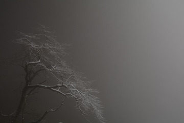 30027073256???20151205_(64)