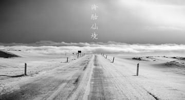 _DSC2644-编辑