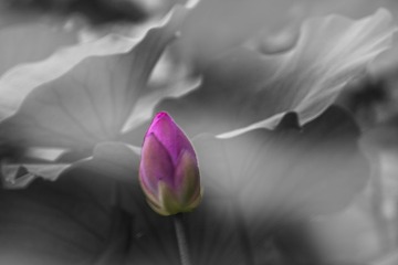 521EBEED-0C9B-4E12-B864-6254549CD0B0/L0/001