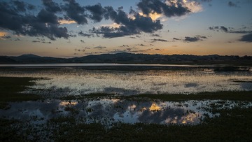 雨后