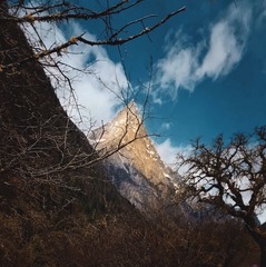 深山里