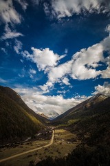 远方的路