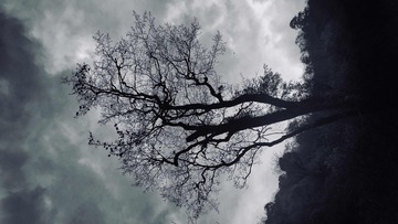 沧桑