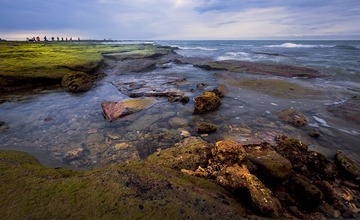 观海