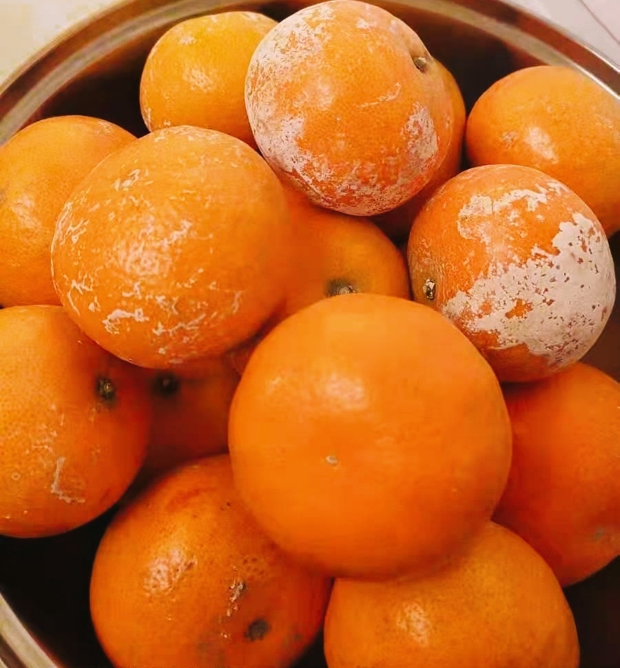 今天收到茂谷柑一箱超极甜广西水果真是好我觉得网上关于广西柑橘泡药