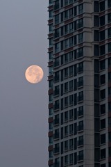 月色-12