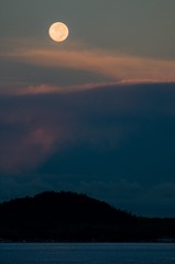 月色-71