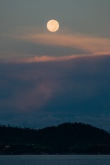 月色-73