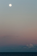 月色-100
