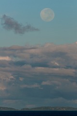 月色-120