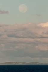 月色-122