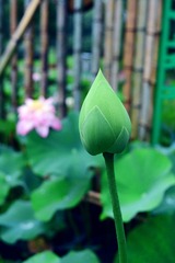 DSC_0189-02