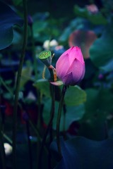 DSC_0199-02