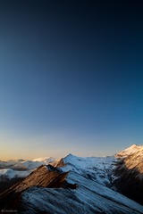22730