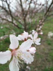 IMG_20160312_164743