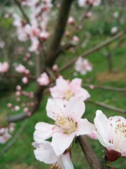 IMG_20160312_165158