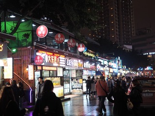 P3121176
