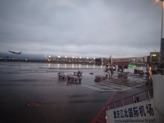 P3131352
