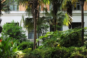 L1008409