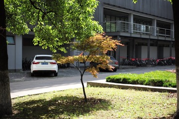L1008397