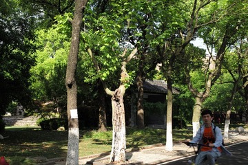 L1008437