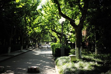 L1008507