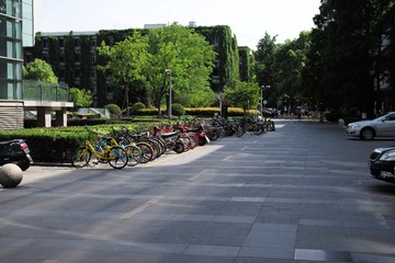 L1008491