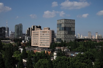 L1008541