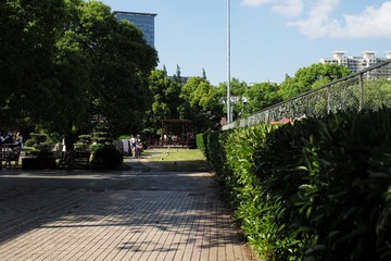 L1008550